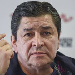 Luis Fernando Tena: "Hay que apoyar al Veracruz"