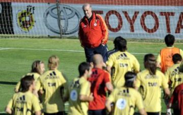 Después de un breve paso con Besiktas y el Cádiz, cogió las riendas del combinado Nacional en julio de 2008, en sustitución de Luis Aragonés.