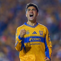 Tigres sostendrá amistoso previo al arranque de liguilla
