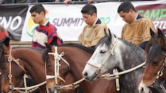 El escenario que tendrá el Rodeo Clasificatorio Escolar Centro Norte: fecha confirmada