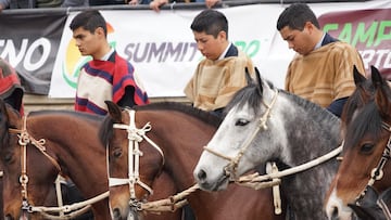 El escenario que tendrá el Rodeo Clasificatorio Escolar Centro Norte: fecha confirmada