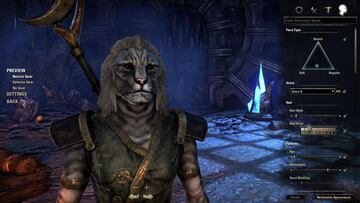 Captura de pantalla - The Elder Scrolls Online (PC)