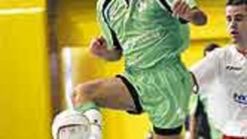 Cobeta busca un sitio.