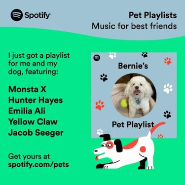 Spotify estrena sus playlist de mascotas