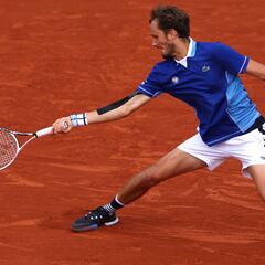 Medvedev toma tierra