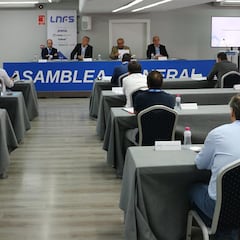 La LNFS pide al CSD una reunión para tratar la Liga profesional