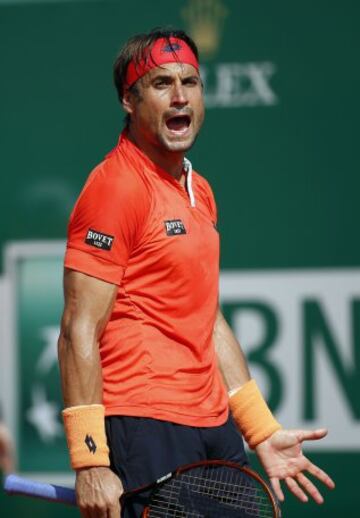 David Ferrer.