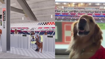 El equipo de St. Louis FC es el primer equipo en la historia de la MLS en habilitar una zona exclusiva en su estadio para mascotas.