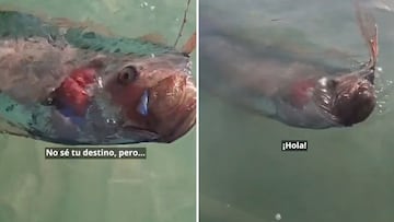 Aparece el denominado “pez del fin del mundo” en una playa en México: se ha viralizado a mansalva