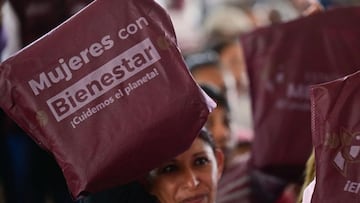 Mujeres con Bienestar Edomex: qué es y cómo descargar el formato FUB