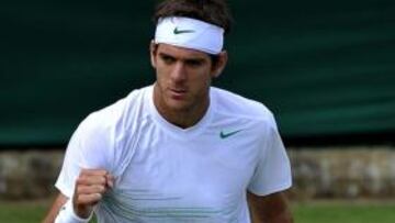 Del Potro pasa la primera ronda ante el italiano Cipolla