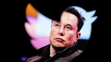 FILE PHOTO: Elon Musk's photo is seen through a Twitter logo in this illustration taken October 28, 2022. REUTERS/Dado Ruvic/Illustration/File Photo
