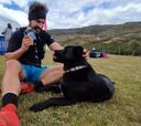 ¡Un perro acompañó a un corredor brasileño por 21 kilómetros en la Patagonia!