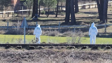 05-02-2022 Sospechas de que el cad&aacute;ver de Esther L&oacute;pez pudiera haber sido trasladado al lugar donde ha sido localizado.
 
 El cad&aacute;ver de Esther L&oacute;pez, la mujer de 35 a&ntilde;os vecina de Traspinedo (Valladolid) desaparecida de