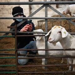 Caída del PIB en España: las provincias donde menos se ha notado el impacto de la crisis