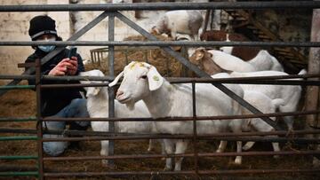 Las provincias con un importante peso del sector agr&iacute;cola han sufrido menos.