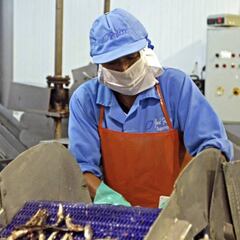 Bono para trabajadores en suspensión perfecta: requisitos y cómo cobrar