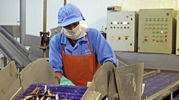 Bono para trabajadores en suspensión perfecta: requisitos y cómo cobrar