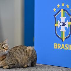 ¡No perdonaron! Los memes tras la eliminación de Brasil del Mundial