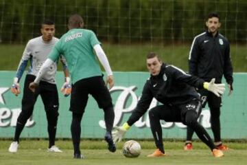 Los verdolagas preparan el quinto clásico del año. 