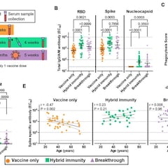 Por qué la superinmunidad protege más que tener tres dosis de la vacuna, según un estudio