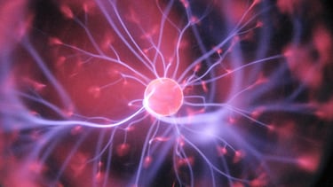 Vitamina B12: para qué sirve, beneficios y contraindicaciones