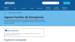 4 IFE de ANSES o Ingreso Básico: ¿En qué se diferencian?