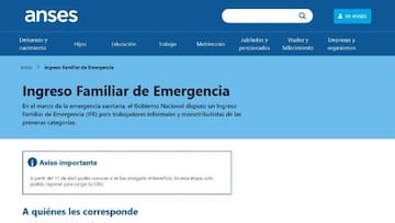 4 IFE de ANSES o Ingreso Básico: ¿En qué se diferencian?