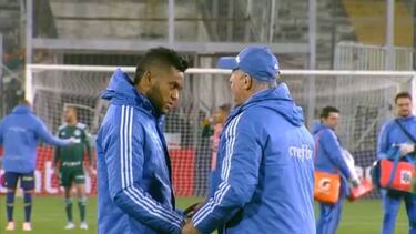 Miguel Borja sale molesto en la victoria de Palmeiras por Copa