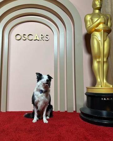 Cillian Murphy, protagonista de los mejores memes de los Oscar