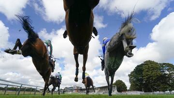 Carreras de obstáculos en el hipódromo de Fontwell Park