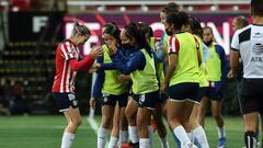Chivas venció a Puebla en la Jornada 12 del Clausura 2022
