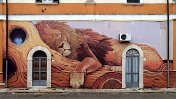 People are flocking to a southern Italian village to see murals painted on walls during a street art festival.