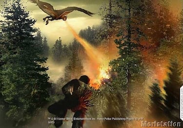 Nuevos detalles e imágenes de Harry Potter y el Cáliz de Fuego