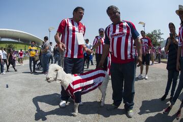 Los aficionados ya calientan el previo a la Final del Clausura 2017 que se disputará en el Estadio Chivas