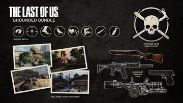 Ilustración - The Last of Us - Pack Realista (PS3)