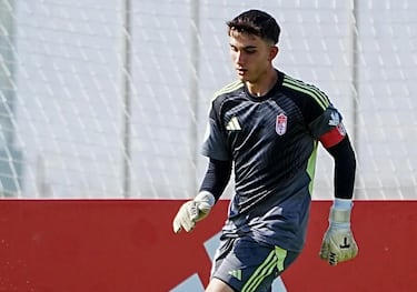 El Virus FIFA masacra la portería del Granada