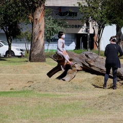 Coronavirus en España: cuándo podría llegar la nueva normalidad en cada provincia