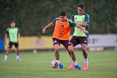 Puntos a seguir de México en Fecha FIFA