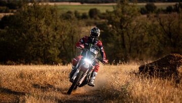 A Schareina no hay quien le Tosha