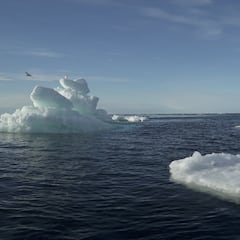 The curse of Newfoundland: What other shipwrecks have taken place off the coast of Canada?