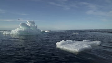 FILE PHOTO: Floating ice is seen during the expedition of the Greenpeace's Arctic Sunrise ship at the Arctic Ocean, September 14, 2020. REUTERS/Natalie Thomas/File Photo/File Photo