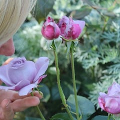 Las alucinaciones olfatorias, peores cuanto más leve es la infección por la COVID-19