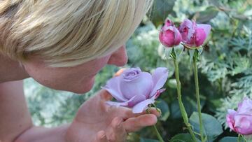 Las alucinaciones olfatorias, peores cuanto más leve es la infección por la COVID-19