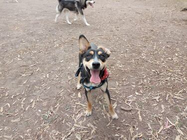 TP Link Neffos C7:Review