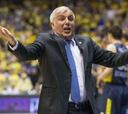 Obradovic: "El Madrid es favorito, pero no iremos a hacer turismo"