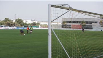 Ciudad Deportiva del Villarreal.