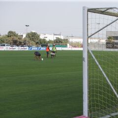 El Alcora jugará la Copa Rey ante el Elche en ciudad deportiva del Villarreal