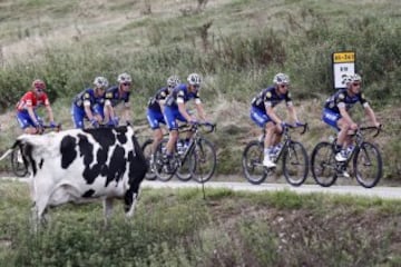 El pelotón durante la décima etapa de la Vuelta Ciclista a España 2016, con salida en la localidad de Lugones y meta en los Lagos de Covadonga,con un recorrido de 188,7 kilómetros