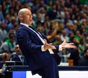 Peñarroya: “El Unicaja no está para la Euroliga, eso es otra historia”
